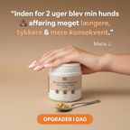 MAGE- & LEDBOOSTER