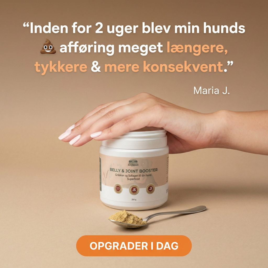 MAGE- & LEDBOOSTER