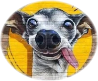 Hot Dog DR – Dog Rescue Dominican Republic
